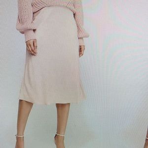 NWT Express satin skirt